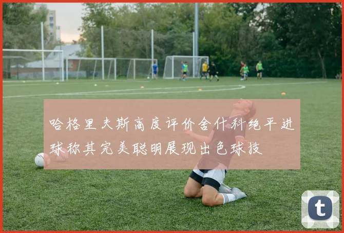 哈格里夫斯高度评价舍什科绝平进球称其完美聪明展现出色球技