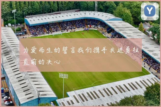为爱而生的誓言我们携手共进勇往直前的决心